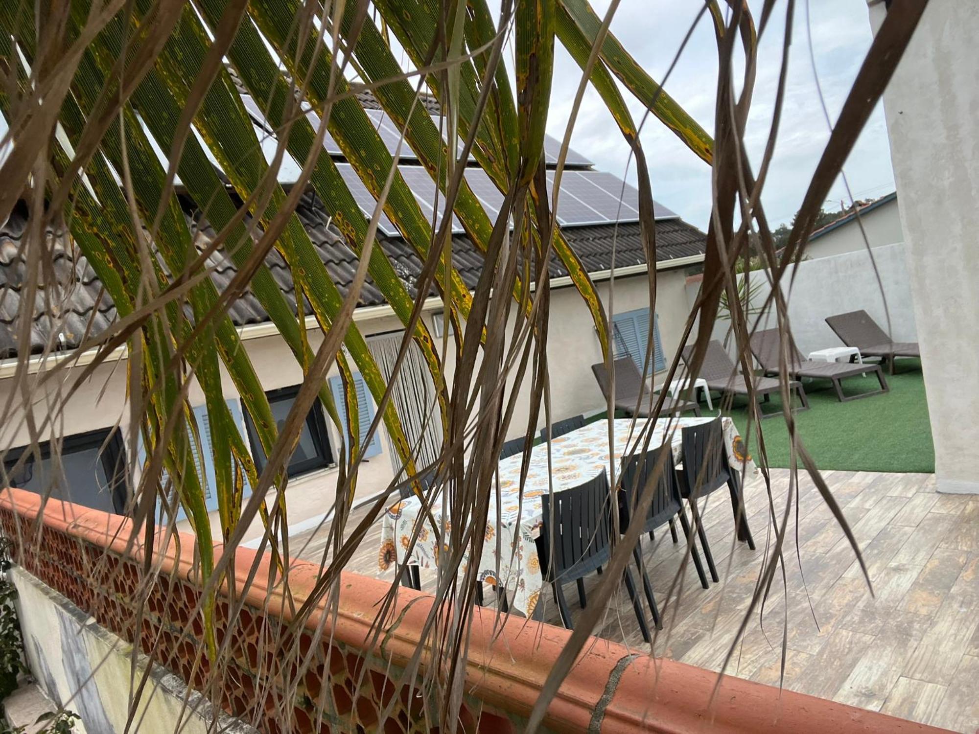 Casa Flores